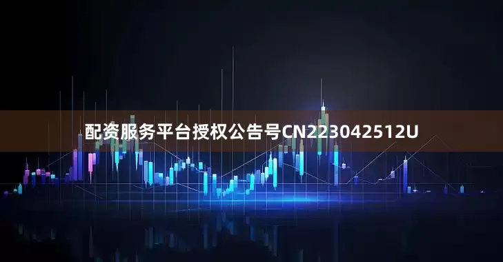 配资服务平台授权公告号CN223042512U