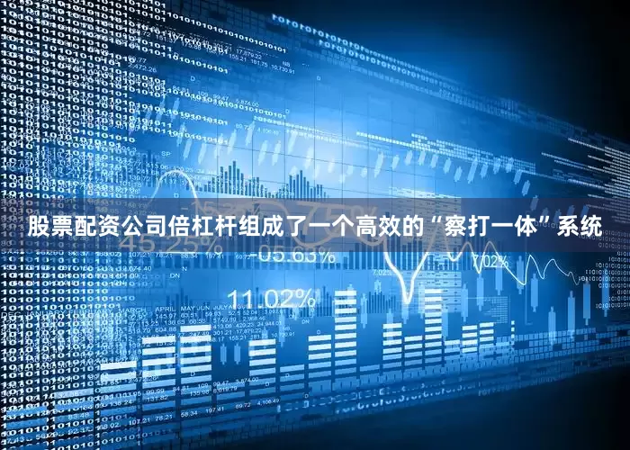 股票配资公司倍杠杆组成了一个高效的“察打一体”系统